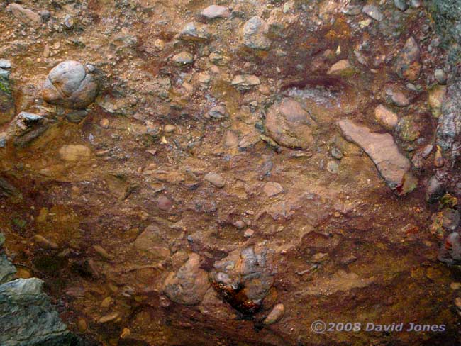 Cave roof, showing breccia