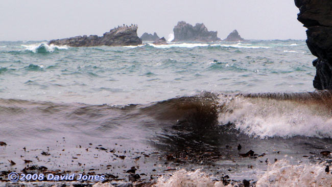 looking toward Shag Rock and Man of War Rock from Polpeor Cove - 2