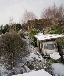 A thin layer of snow covers the garden - the second snowfall this winter