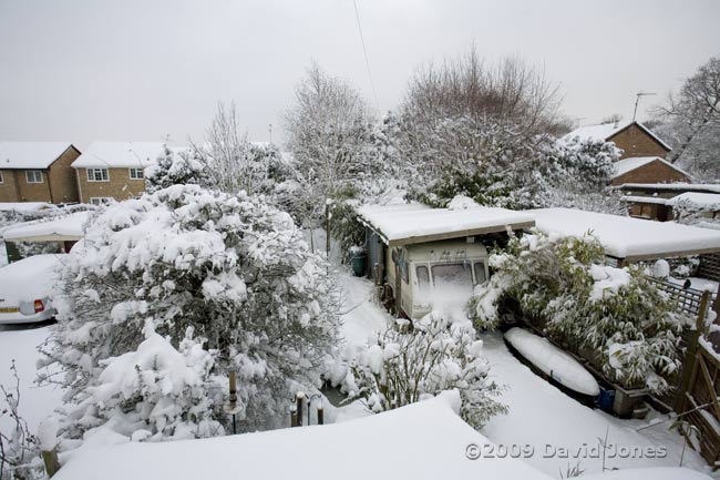 The garden under snow this morning - 1