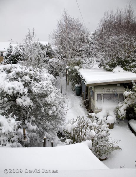 The garden under snow this morning - 2