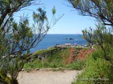 Lizard Point - Lizard Peninsular, 2 June