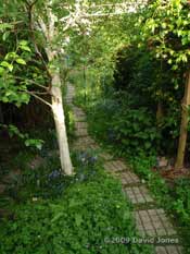 Looking back down the garden from the West Wing