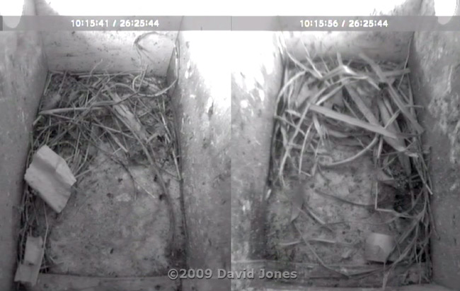 The Starling boxes at 2pm