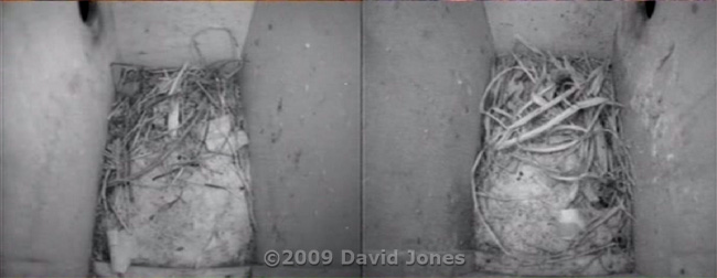 The Starling boxes, empty at 8pm