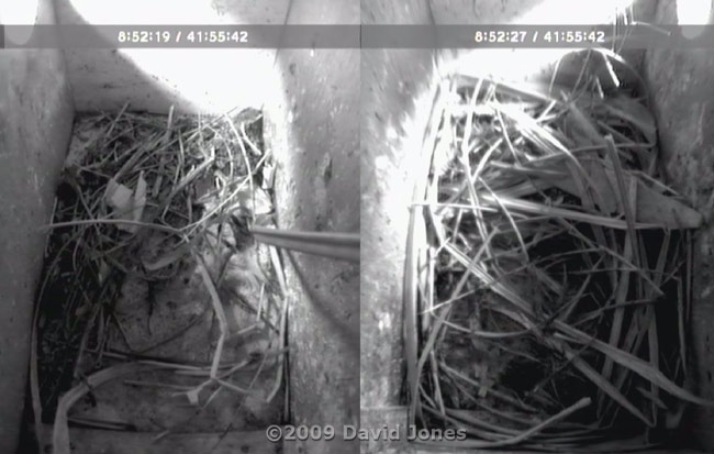 The state of the Starling boxes at noon