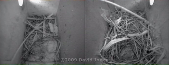 The Starling boxes tonight