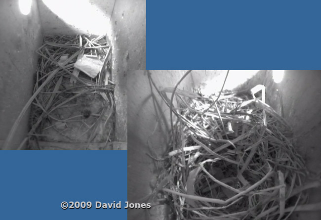 The Starling boxes this afternoon