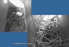 The Starling boxes this afternoon