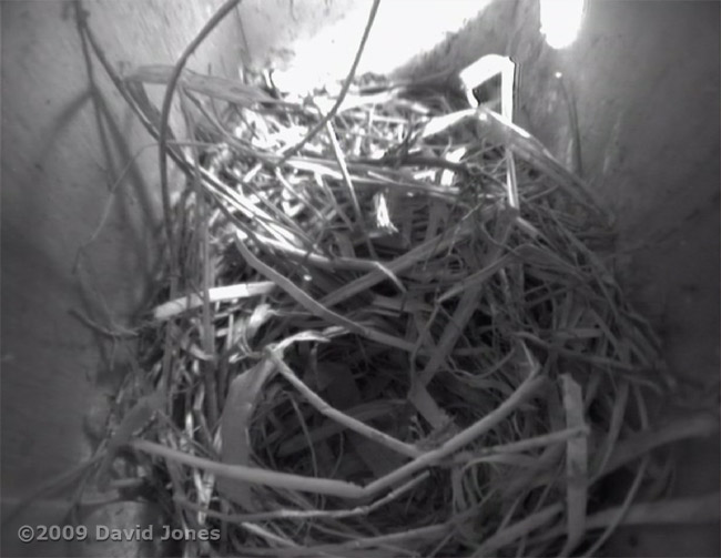 The Starling boxes this afternoon - box R