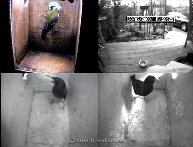 Quad image at just before 5pm