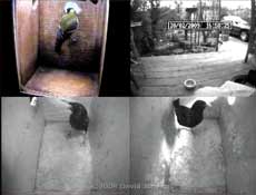 Quad image at just before 5pm