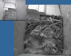 The state of box STle today, compared with 22 June