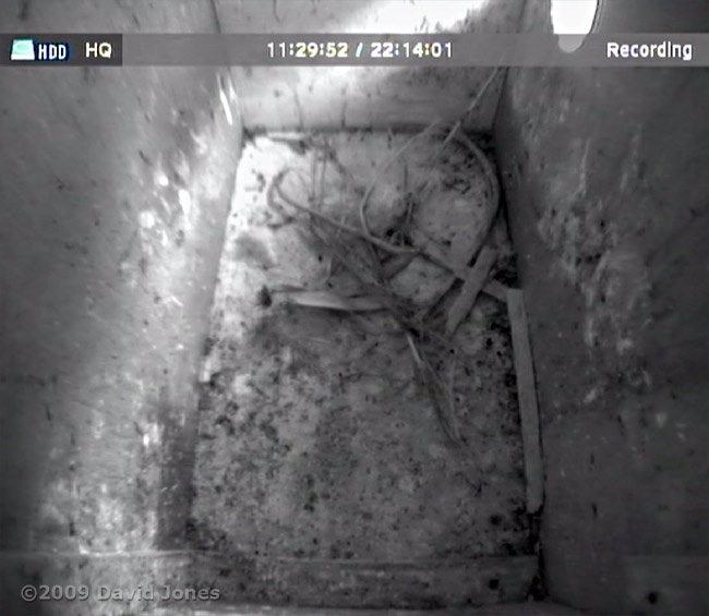 The Starling boxes this morning - box R