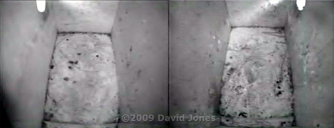 The Starling boxes at dawn this morning