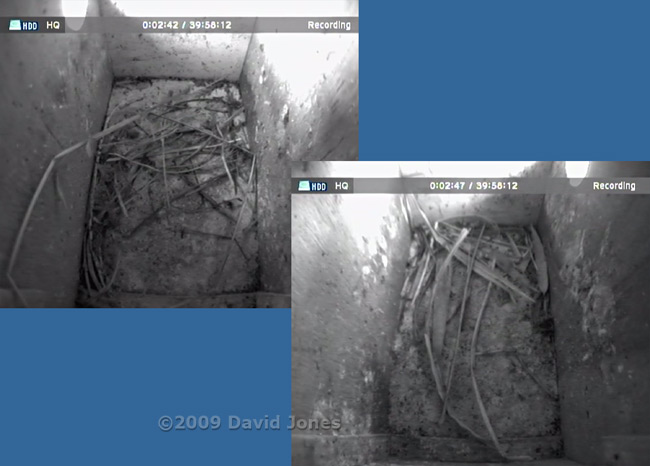 The Starling boxes at 10am this morning