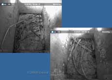 The Starling boxes at 10am this morning