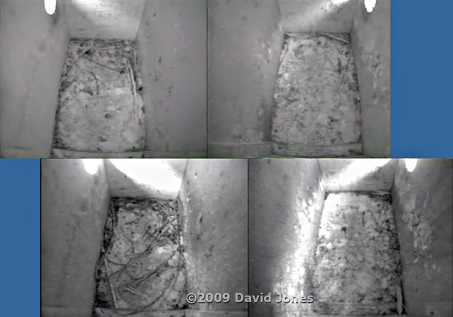 The Starling boxes at 6.20am and 10.30am