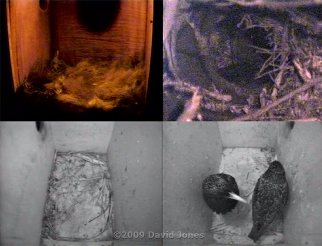 The CCTV images tonight tonight