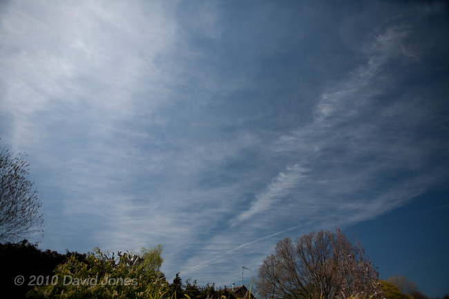 Looking north at a sky affected by multiple contrails