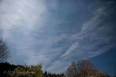 Looking north at a sky affected by multiple contrails