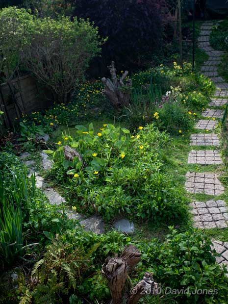 looking down the garden at the big pond, 24 April