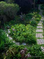 looking down the garden at the big pond, 24 April