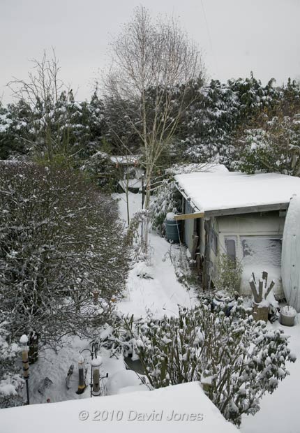 Snowfall turns the garden white - 2 December