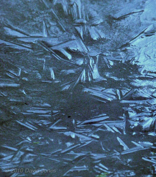 Melt-water layer above ice in pond freezes after dusk, 5 December 2010