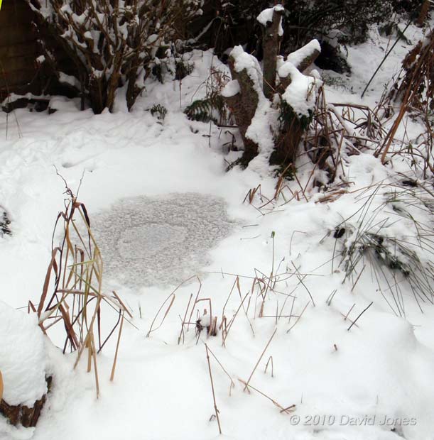Pond ice shows through the snow, 20 December