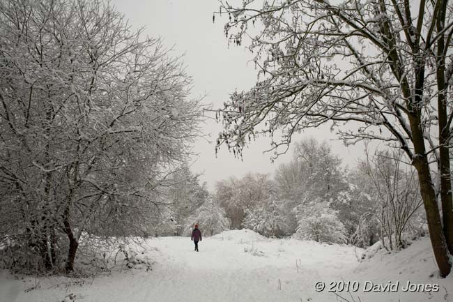 The Brickfields Park