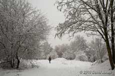 The Brickfields Park