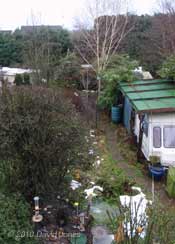 The garden with the snow nearly all gone, 16  January