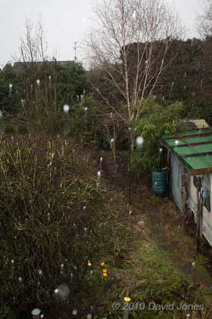 Snow falls, just about, 20  January