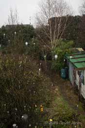 Snow falls, just about, 20  January