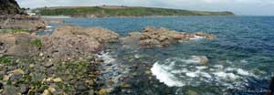 View of coast from Porthallow to Nare Head, 10 June