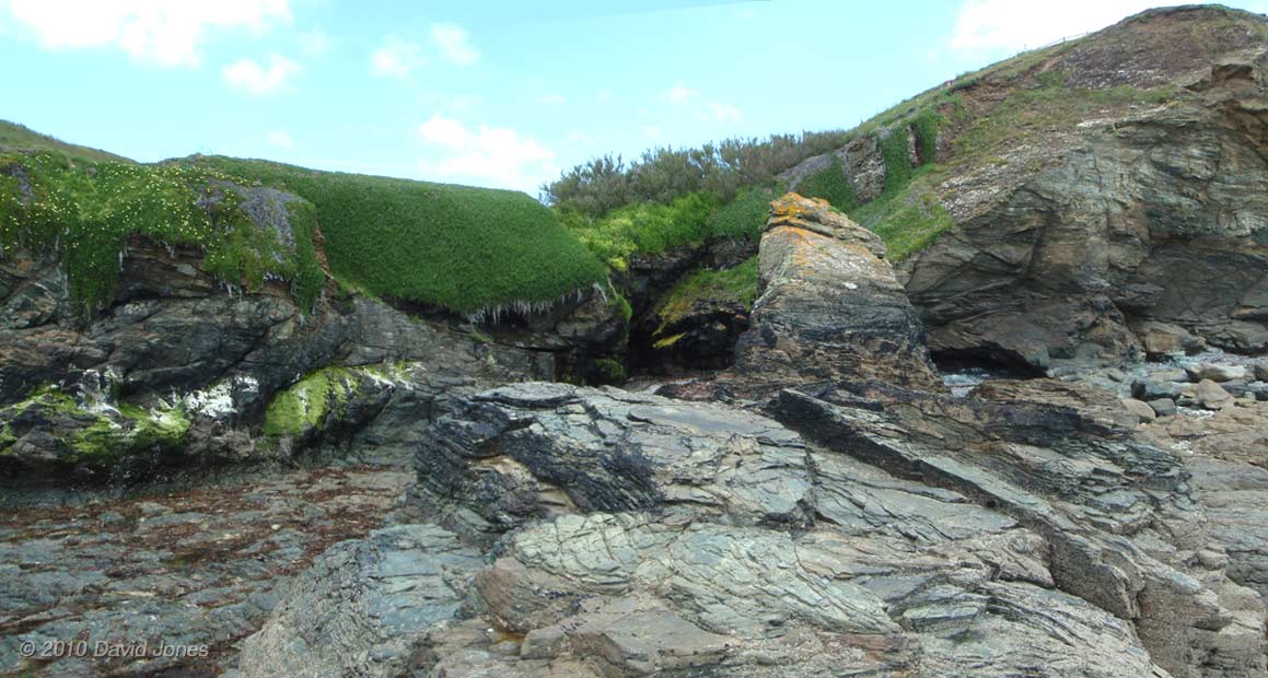 Foreshor below Pistil Meadow, 11 June
