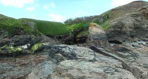 Foreshor below Pistil Meadow, 11 June