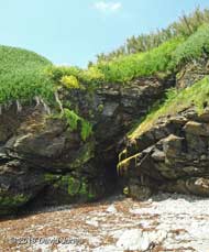 The waterfall in Pystyl (Pistil)l Ogo, 11 June