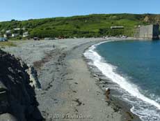 Porthoustock Cove, 12 June