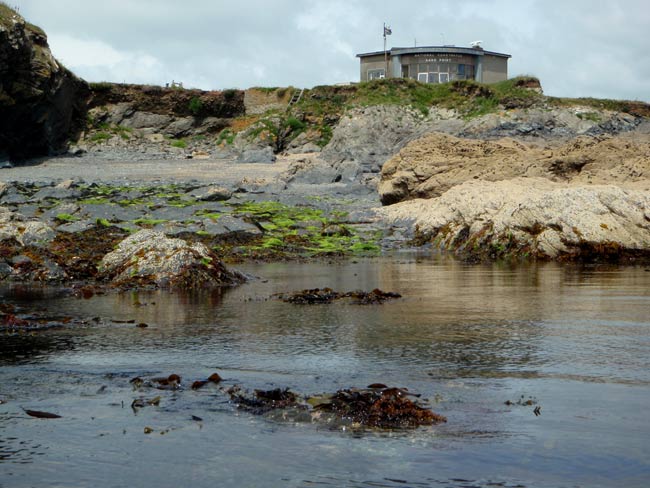 Arriving at Nare Head Coastwatch Station, 13 June