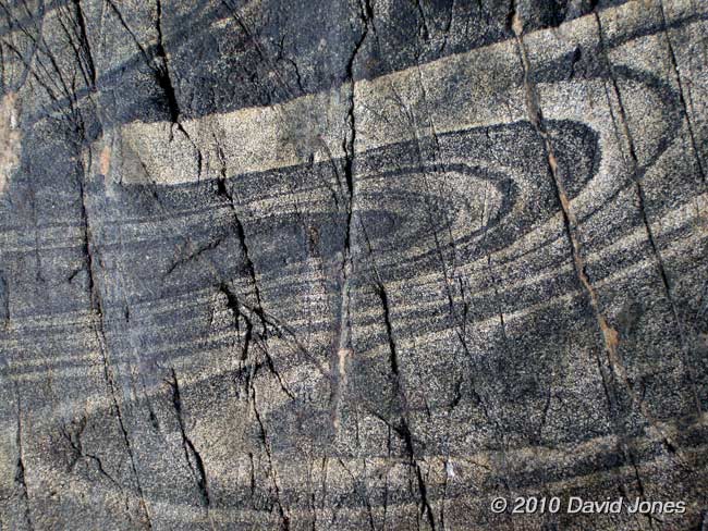 A typical pattern seen on rocks at Porthallow - 3, 15 June