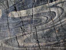 A typical pattern seen on rocks at Porthallow - 3, 15 June