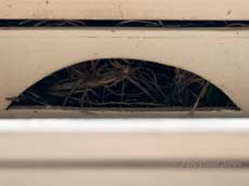 The blocked entrance to the Sparrows' nest box, 1 April