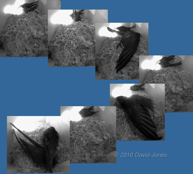 The pattern of activity in SW(UP) this morning), 16 July