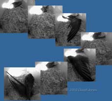 The pattern of activity in SW(UP) this morning), 16 July