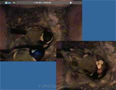 The Great Tits' second chick hatches - 5 May