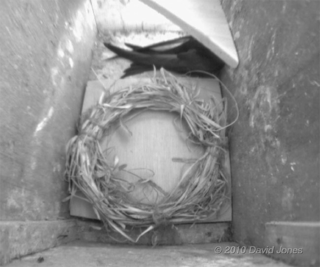 'White Spot' visits SW(RI) this afternoon, 24 May