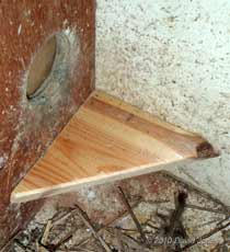 detail of shelf over nest box entrance