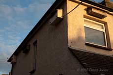 Nest boxes on the north and west facing house walls